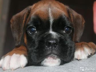      ,     ,  45 ,    ,     ,  