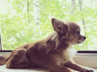   ,  4 , ,  1,7 , , ,  ),   ,     5-6 ,   ,  