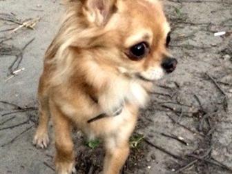   ,  4 , ,  1,7 , , ,  ),   ,     5-6 ,   ,  