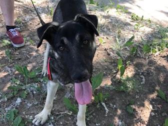  !       ,           !  ,      