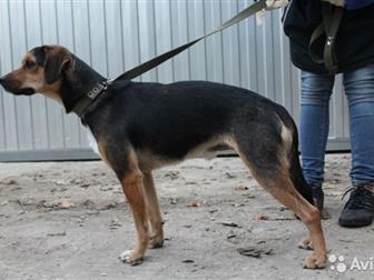     ,      8 ,      ,   -  8 ,    , ,  , ,  