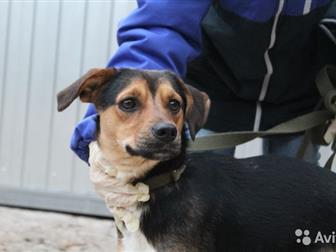     ,      8 ,      ,   -  8 ,    , ,  , ,  