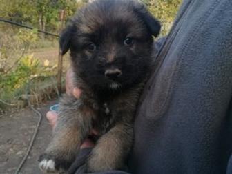   16, 09, 2019,      ,    ,  2 ,      ,  ,  