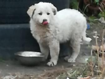       , 1   ,   - ,   -  ,   3 ,        