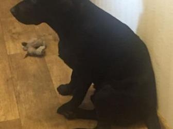    ,  , ,  ,   , ,  ,   ,        