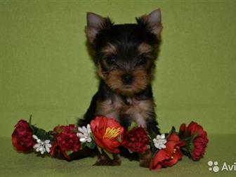      20   ,      ,   9 ,    ,  ,  ,    