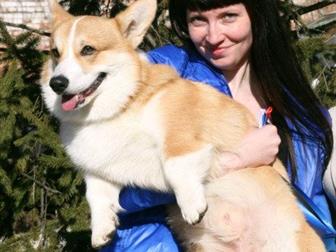      Bunase Patrik Torvayn (n/b)(Ginger Elf Archibald (n/b) /Face Factory Dynasty Kenzi)  :10, 04, 2016-,  