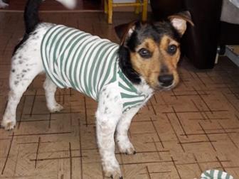      ,       ,    ,     ,  