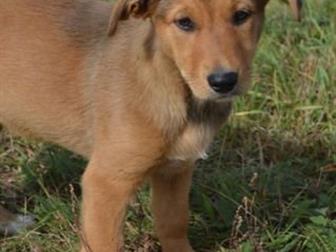  ! ,    ,    3 ,   ,  , ,   ,  