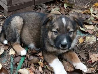   - 2 ,   ,    ,    ,   ,     ,     