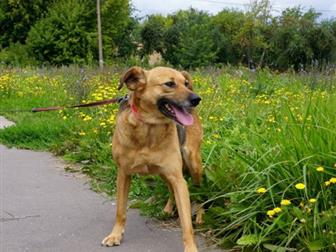 ,   ,   ,  ,   ,      ))) -,    , ,  