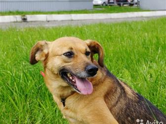 ,   ,   ,  ,   ,      ))) -,    , ,  