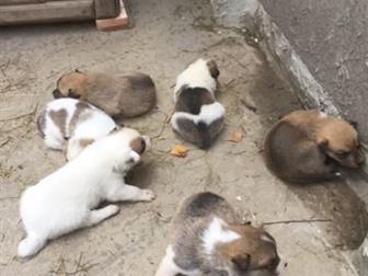   ,   ,    ,    03, 09, 19  4 ,  