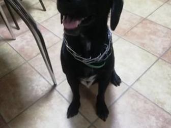  2,5  ,   !    ,   (),      !!!  