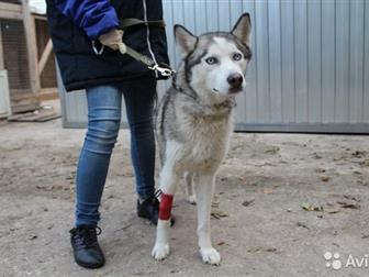     ,   1,5 , ,  , -,      ,     ! ,  