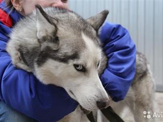     ,   1,5 , ,  , -,      ,     ! ,  