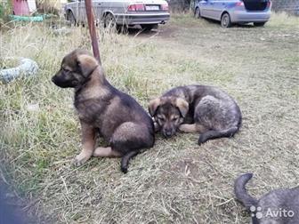       ,   1,5 , , ,    ,     ,   ,  