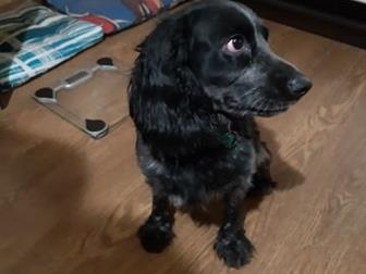  ,     ,  ,   3 ,  , ,   ,   ,   ,     