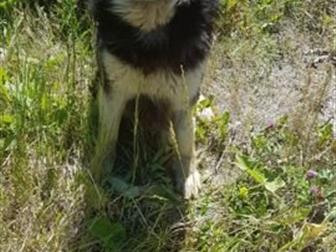      - , 1 , ,    ,      , , ,  