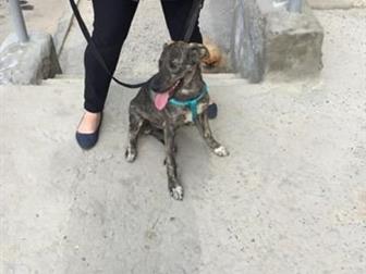 ,     ,  1 ,  ,         ,    ,      