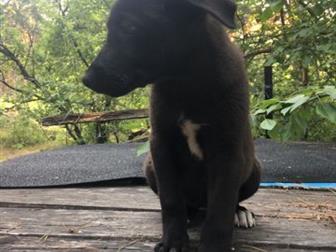      3-4 ,  ,  , ,  ,       ,       