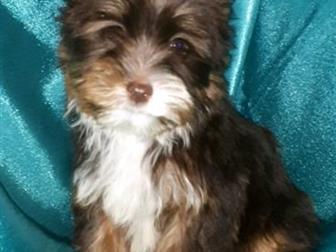  ,  ,  16, 09,         !      ,   ,  