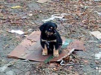  4    , : 1,5 , 3  ,  ,   ,      ,  