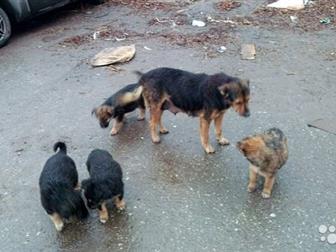  4    , : 1,5 , 3  ,  ,   ,      ,  