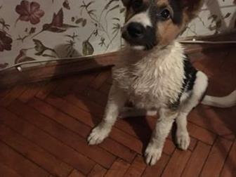     ,(4 ),    , !!  ,  ,   ,    2  ,   