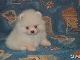         ,   4, 10, 2019, ,   ,   ,     ,  