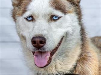    !!!,    ,   ,  , ,   ,        -  