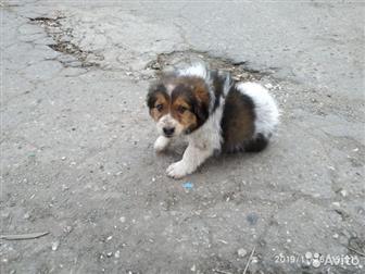     ,   2 ,   ,    ,     ,  , ,   