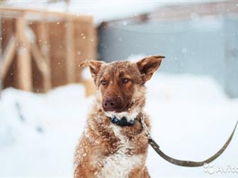 ,  ! -, ,       ,  ,         !,,  ,    