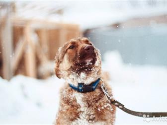 ,  ! -, ,       ,  ,         !,,  ,    