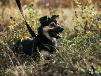 , , ,     ,   ,   , ,      ,           