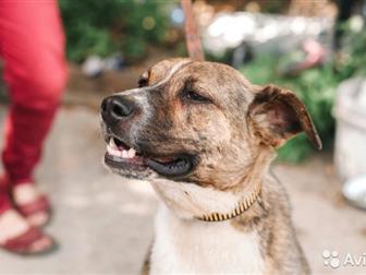 , , ,  ,   -      !  ,  ,     ,  