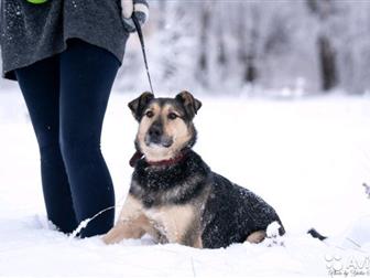 ,  !    ,  ,   ,      -      !     