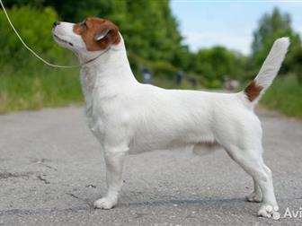       , ,    (FCI);    ,  -     