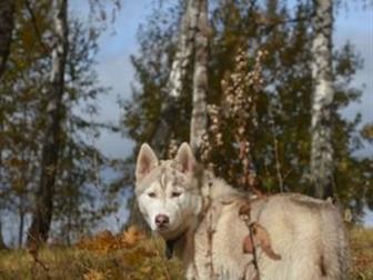  ,   ,  9  ,   ,       ,     !  