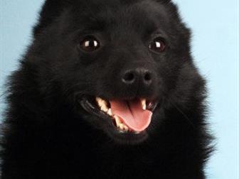   , 5-8 ,   ,,         ,     