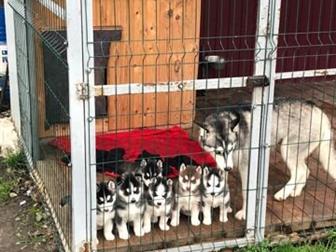  ()              , 08, 10, 19,     