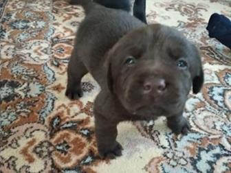    ,        ,     ,   ,     ,  