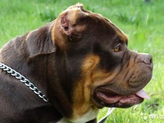  ,   ,  ,   ,,     ,   NN,       