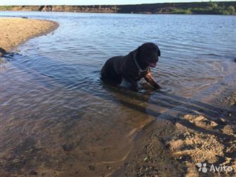   ,  10, 12, 19    ,   ,        ,     ,  3  4  ,    