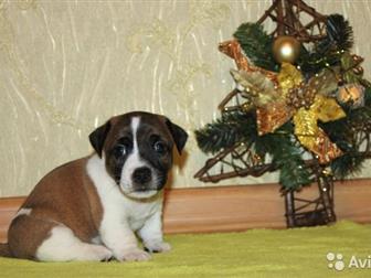        ,      ,   ,     5 ,   