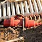 ������ ��������� ������ ����