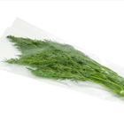 ������ ��� ������� ������ ����� �� �������������