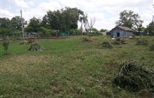 ��������� ��������� ������� 15 ����� 50 �� �� ������� ����� ���� ��� � �����