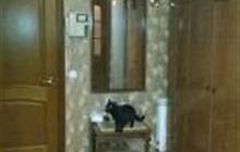 2- , 48,  ,  ,  14,  