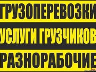    ,  ,    32591735  --